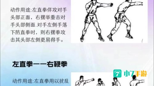 男散打连招
