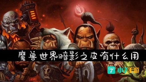 暗影之皮
