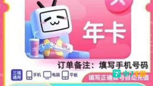 b站年度小会员
