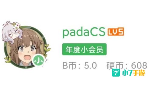 b站年度小会员