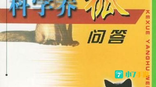哲狐问答