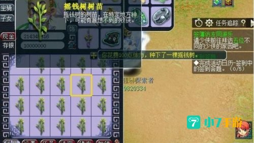梦幻摇钱树苗