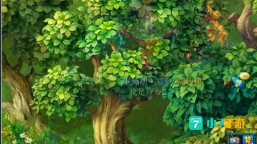 梦幻摇钱树苗