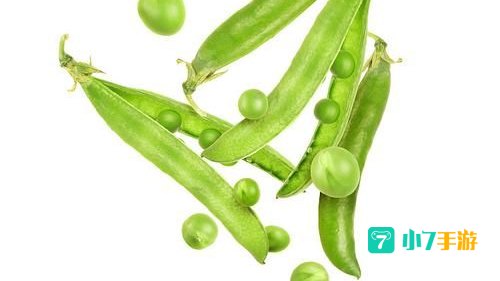 豌豆荚 下载